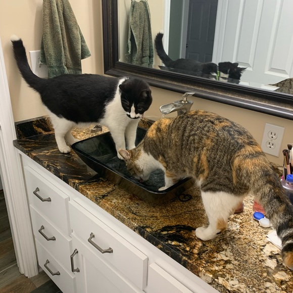 Meet your Posher, Bethany - Picture 8 of 9